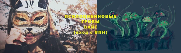 ГАЛЛЮЦИНОГЕННЫЕ ГРИБЫ Абдулино