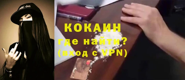 крисы Сатка