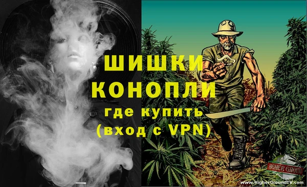 ГАЛЛЮЦИНОГЕННЫЕ ГРИБЫ Абдулино