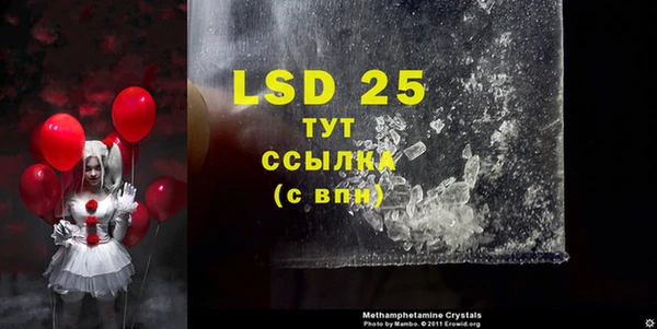 PSILOCYBIN Абаза