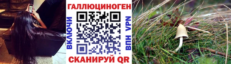 Галлюциногенные грибы GOLDEN TEACHER  кракен зеркало  Касимов 